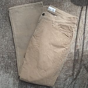 Old Navy Bootcut Cords in Rolled Oats color